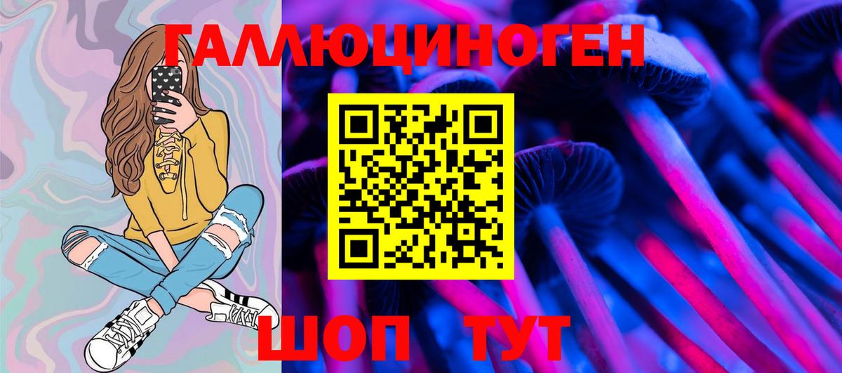 Псилоцибиновые грибы мицелий Чистополь
