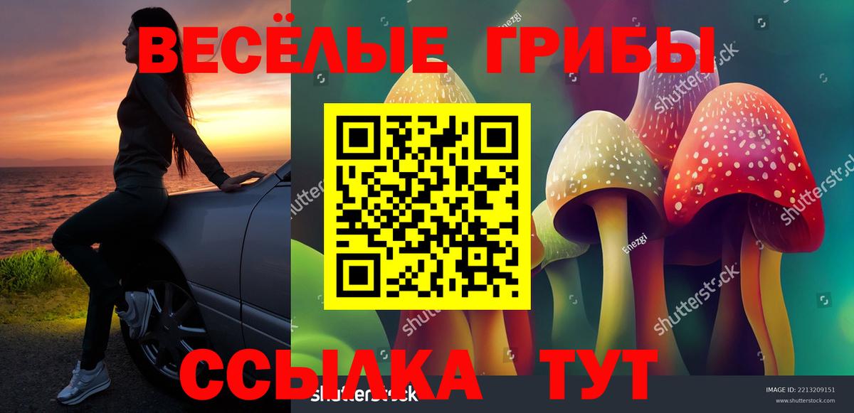 ГАШ Чистополь