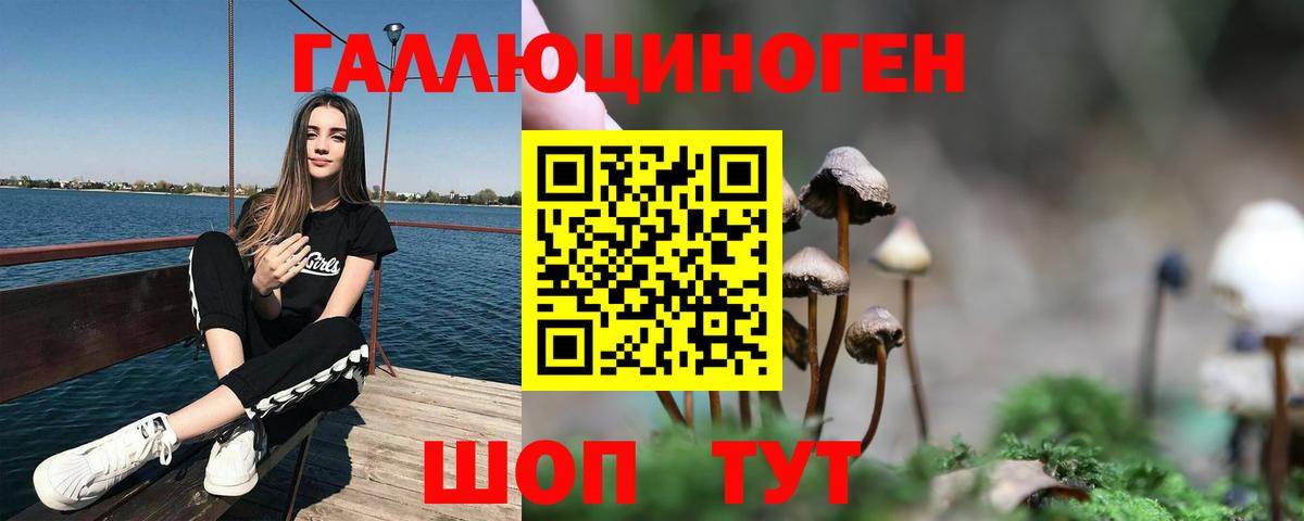Галлюциногенные грибы мицелий  Псилоцибиновые грибы Psilocybine cubensis  Чистополь  Вход с VPN 